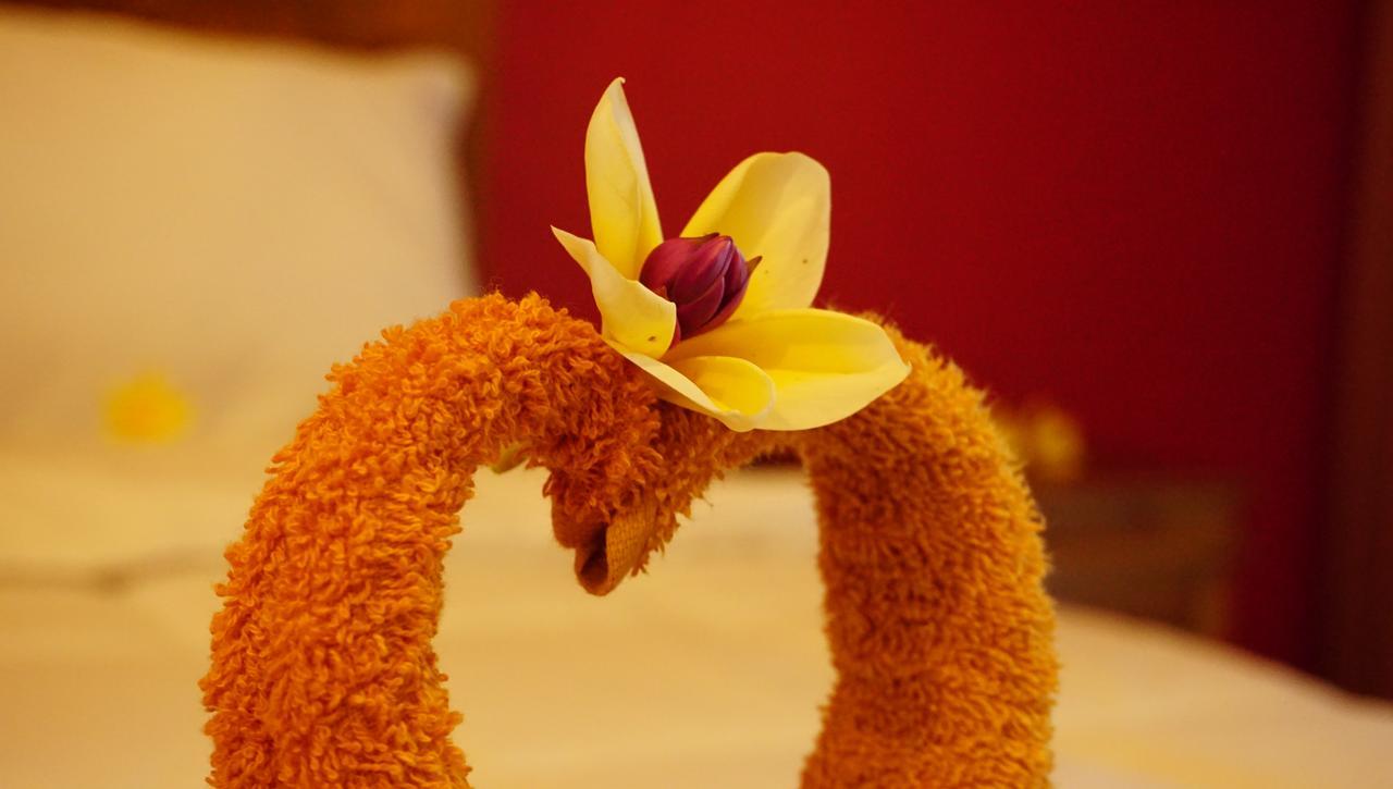Nyuh Gading Accommodation Ubud Екстериор снимка
